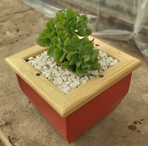 Wooden indoor planter Red