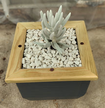 Load image into Gallery viewer, Wooden indoor planter Graphite
