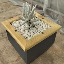 Load image into Gallery viewer, Wooden indoor planter Graphite
