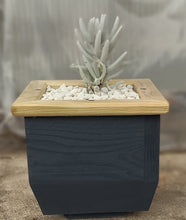 Load image into Gallery viewer, Wooden indoor planter Graphite
