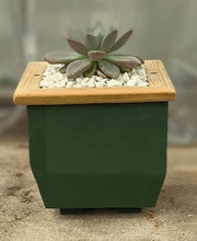 Load image into Gallery viewer, Wooden indoor planter Green
