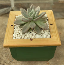 Load image into Gallery viewer, Wooden indoor planter Green
