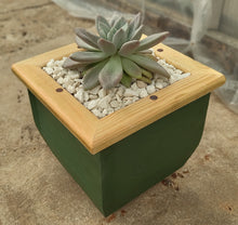 Load image into Gallery viewer, Wooden indoor planter Green
