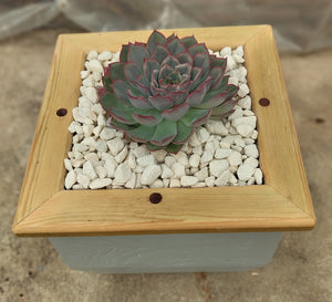 Wooden indoor planter Slate