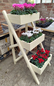 Three tier ladder planter