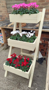 Three tier ladder planter